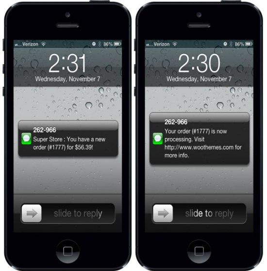 WooCommerce Twilio SMS Notifications Example