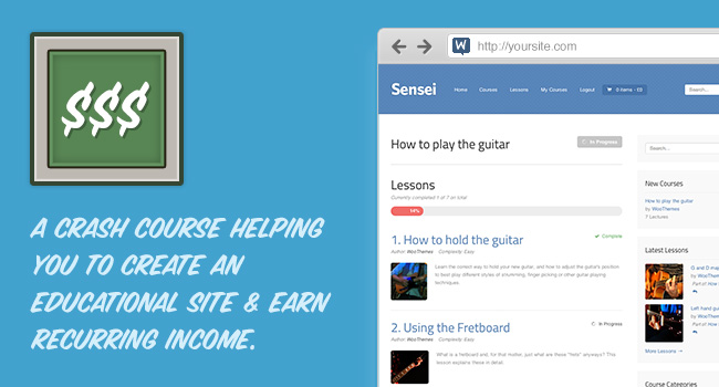 sensei-crash-course