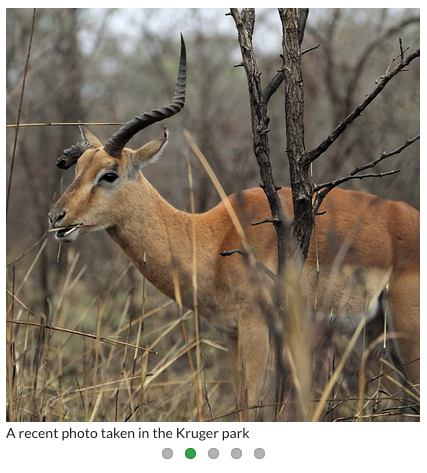 WooSlider Instagram, showing off the Kruger National Park in South Africa