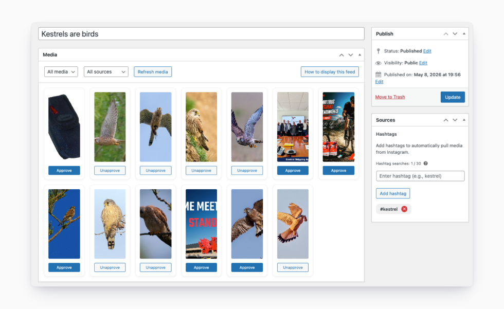Instagram Sync's "Kestrels are birds" feed edit screen in WooCommerce admin, showing thirteen kestrel and bird-photography media tiles with Approve / Unapprove buttons beneath each, plus a sidebar listing the active #kestrel hashtag source.