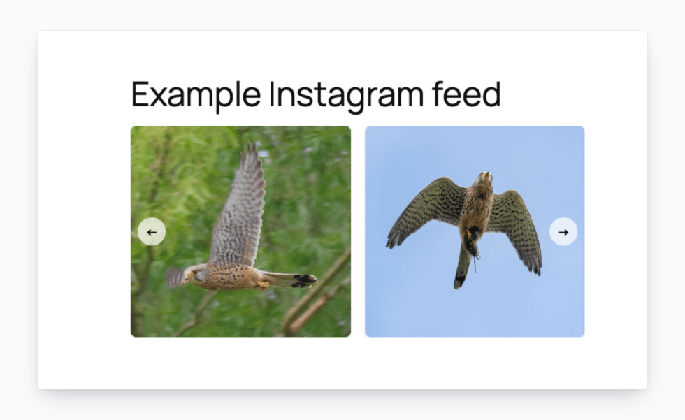 Frontend storefront page titled "Example Instagram feed" displaying an Instagram Sync carousel of two customer kestrel photos with prev / next navigation arrows, rendered inline on a WordPress page via shortcode.