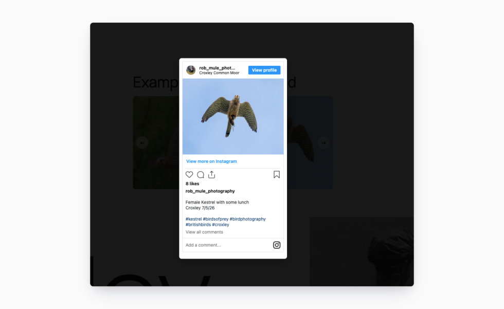 Instagram post lightbox opened over a darkened storefront feed, showing the original rob_mule_photography post with a kestrel image, "Female Kestrel with some lunch — Croxley 7/5/26" caption, hashtags, eight likes, and View profile / View more on Instagram buttons.