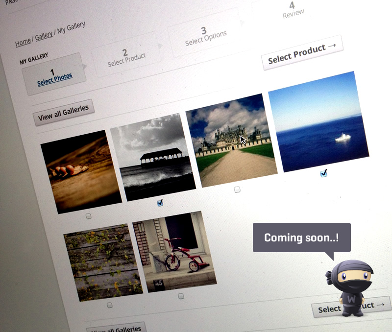 A sneak peek of the upcoming WooCommerce photography extension