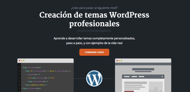 Screenshot of the Professional WordPress theme creation course shown on Francisco's website.