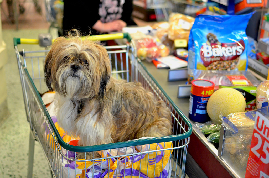 Let customers order online and pay when they pickup -- a timesaver for everyone. And Fluffy gets her food faster, too. (Image source: Darren Johnson / iDJ Photography [CC])