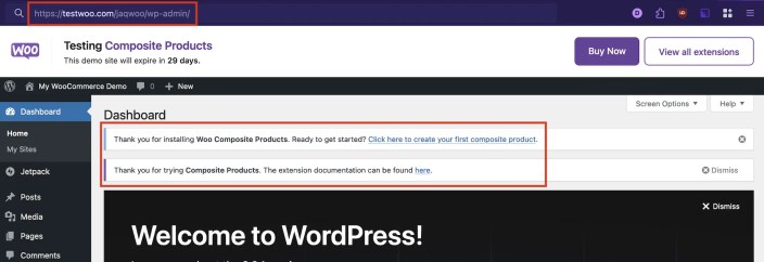 Your free trial demo site is accessible via the address shown in the address bar, and shows you how many days remain on your trial as well. 