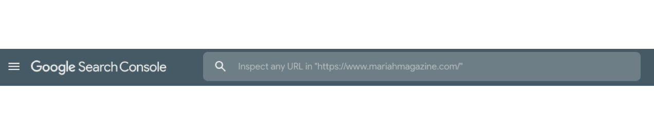 screenshot of Google Search Console search bar