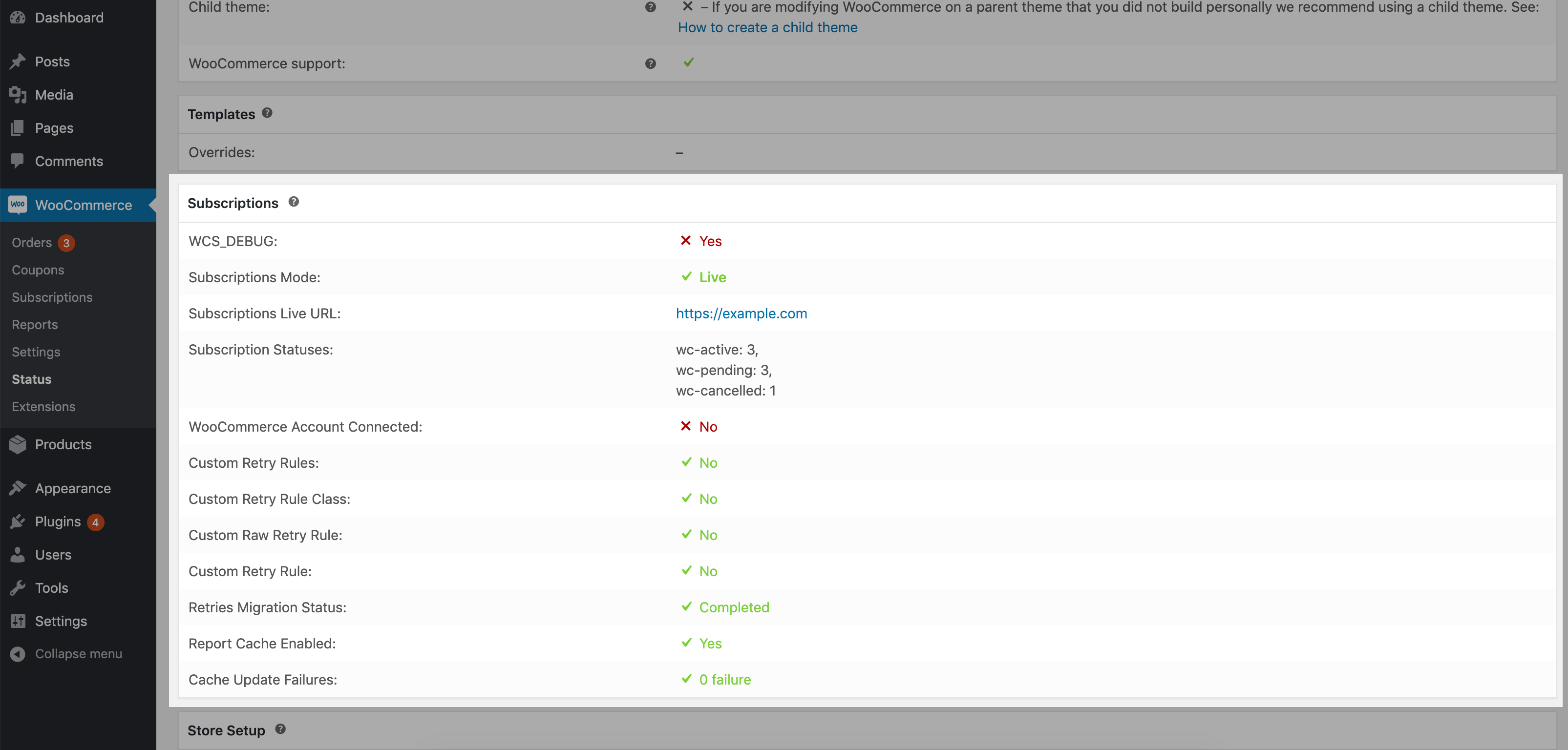 Subscriptions System Status Report Documentation - WooCommerce