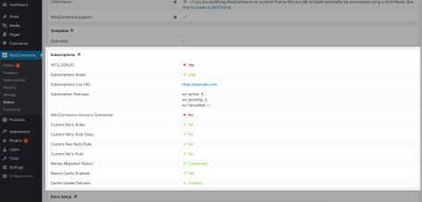 Subscriptions System Status Report Documentation - WooCommerce