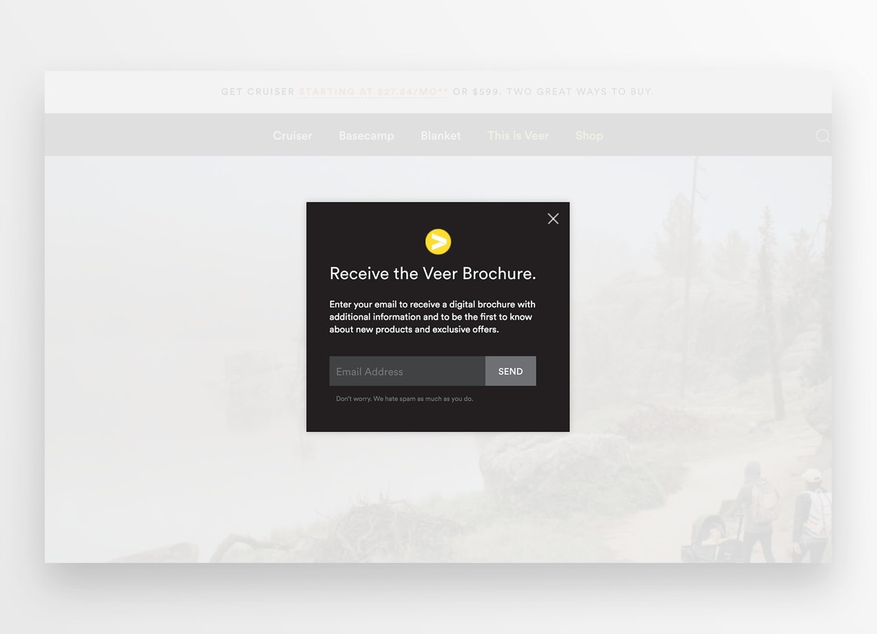 Popup on Veer's website offering a digital brochure in exchange for an email