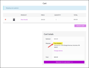 Hide Shipping Methods for WooCommerce Documentation - WooCommerce