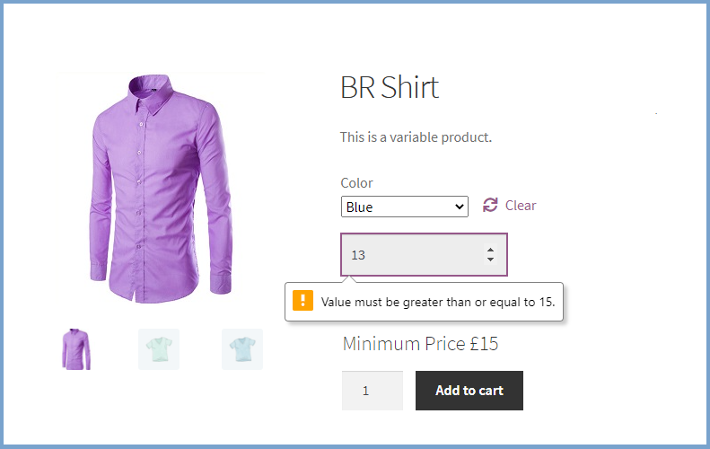 WooCommerce user defined pricing