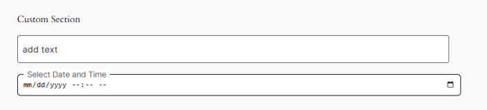 Adding Text in Custom Sections