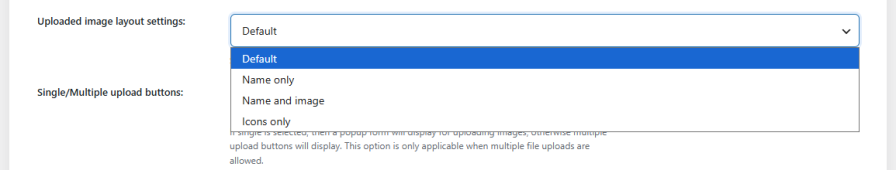 Choose how Uploaded Files are Displayed