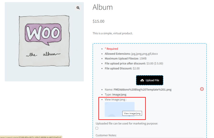 Customers Can Preview, Replace, and Delete Files