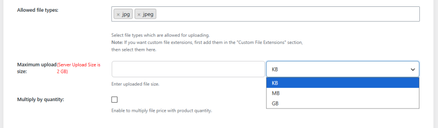 Set File Types and Size Limits