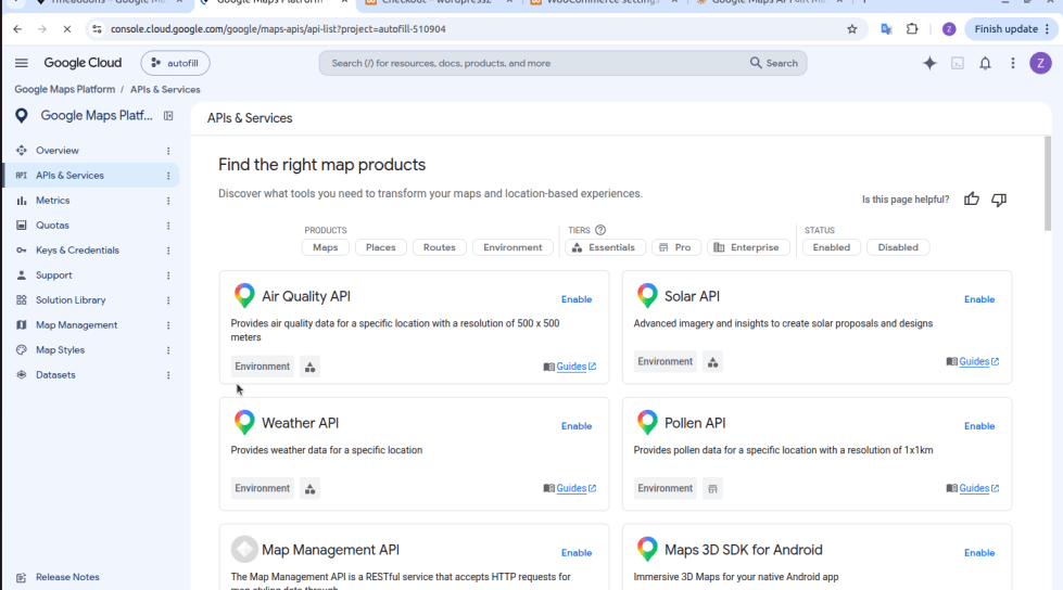 Get Your Google API Key and Map ID