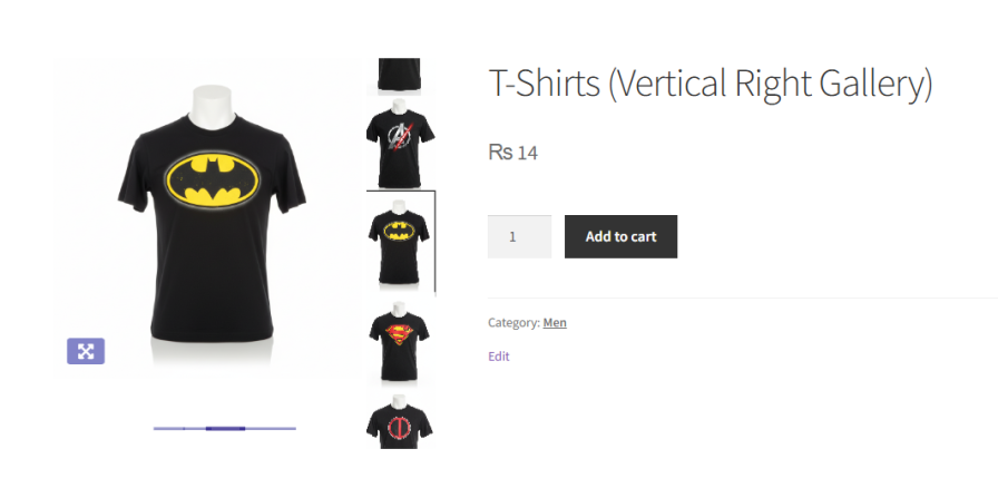 Gallery Layout - Vertical Right