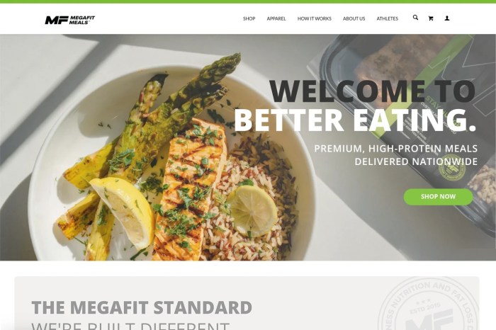 Screenshot of MegaFit Meals