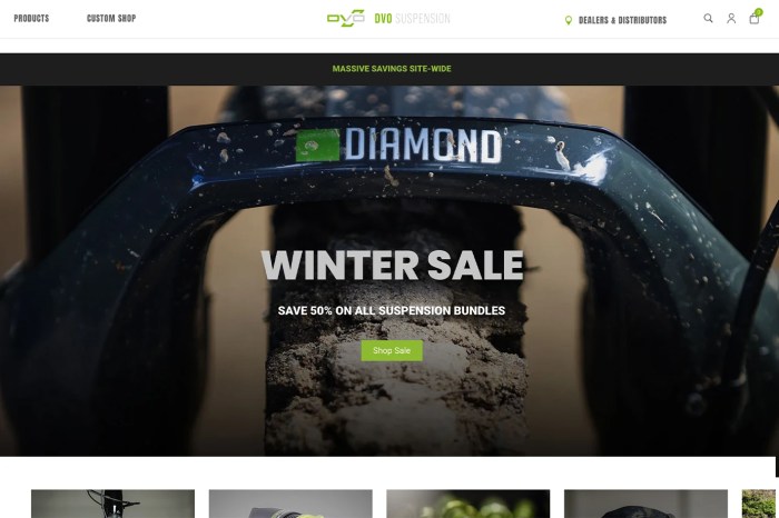 Screenshot of DVO Suspension