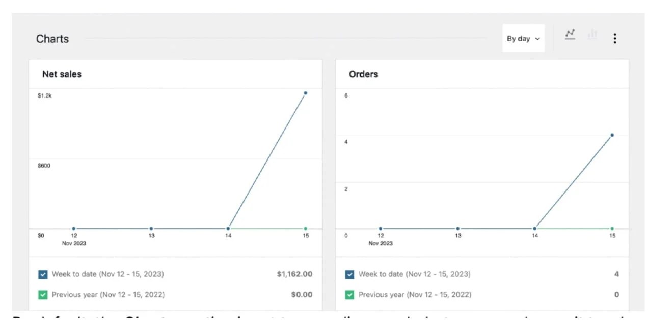WooCommerce analytics showing sales and orders