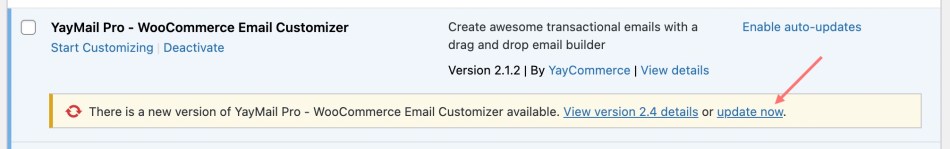 Update YayMail - WooCommerce Email Customizer