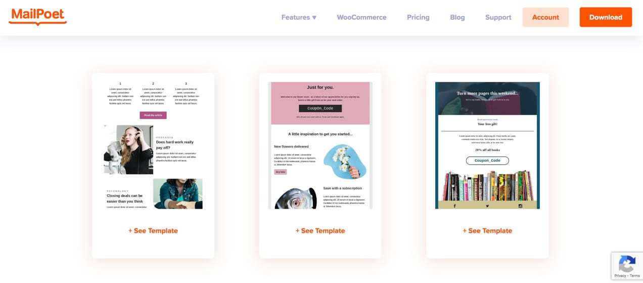 Email Store Message Example Create a Perfect Email Marketing Strategy for Your Store