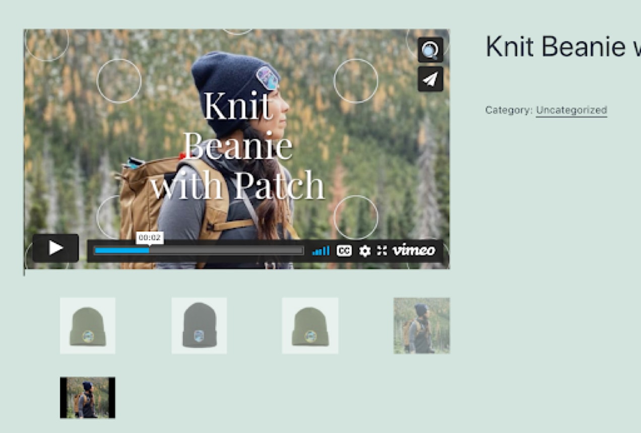 Vimeo video on a product page