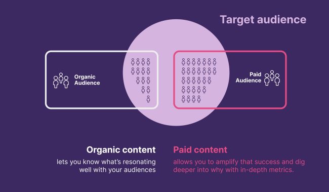 Organic content vs paid advertising in TikTok