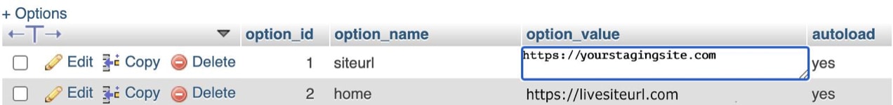 editing siteurl in the database