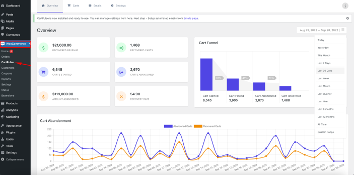 CartPulse Overview