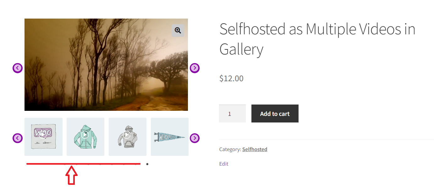 Adding Videos To Your WooCommerce Product Gallery