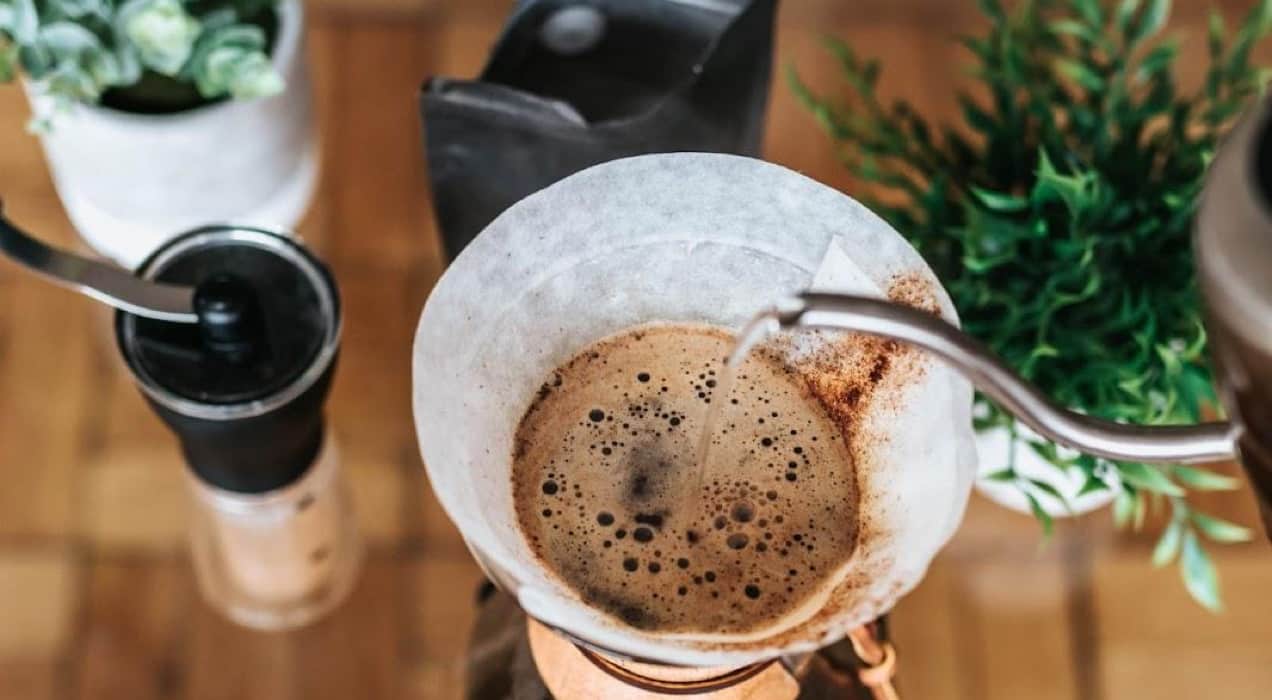 pour over coffee with plants surrounding it