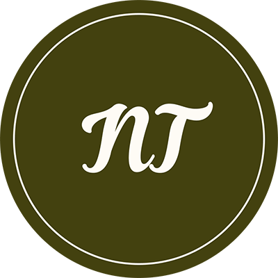 Nudge Themes Logo