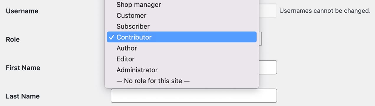 dropdown of user roles in WordPress