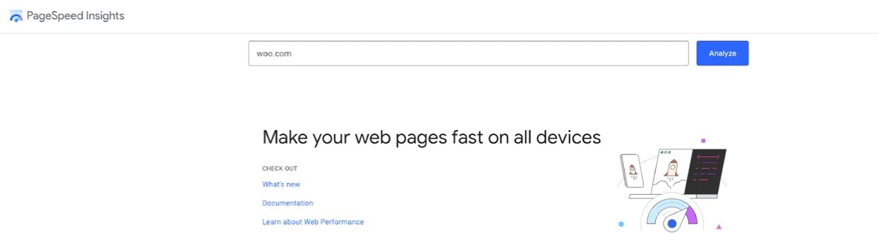 Google PageSpeed Insights page