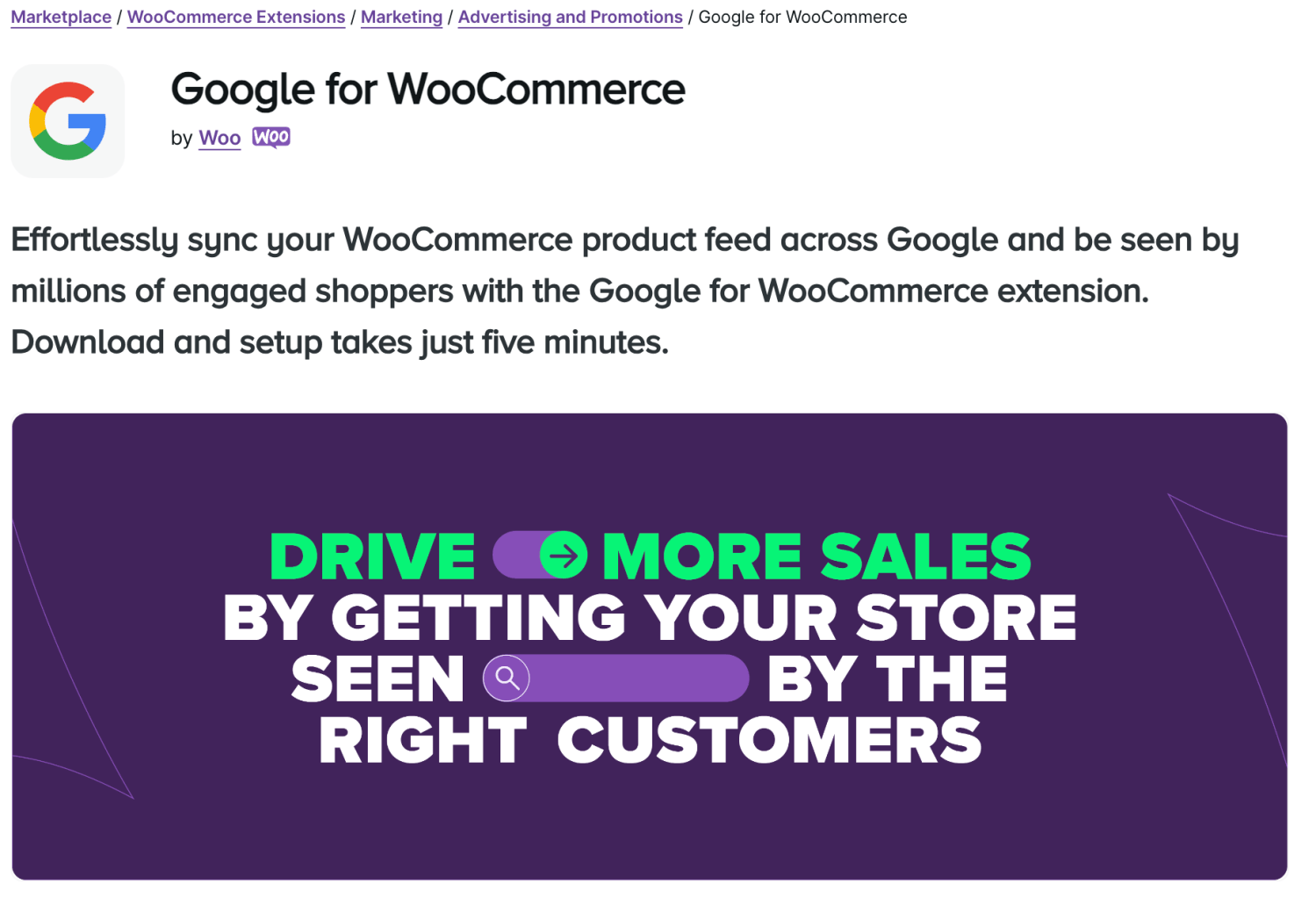 Google for WooCommerce extension