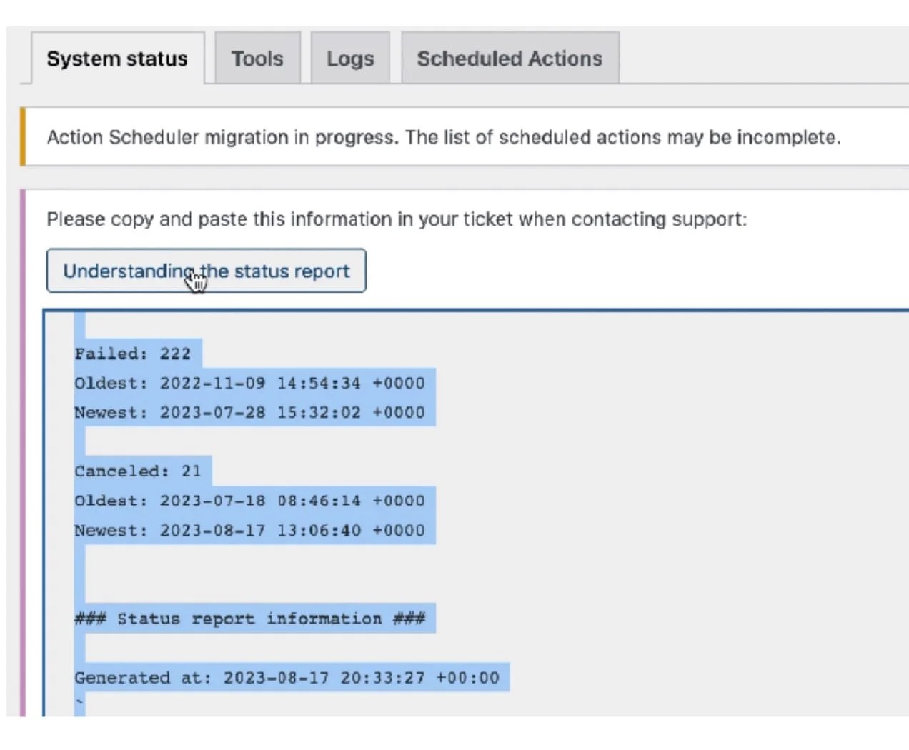 WooCommerce system report