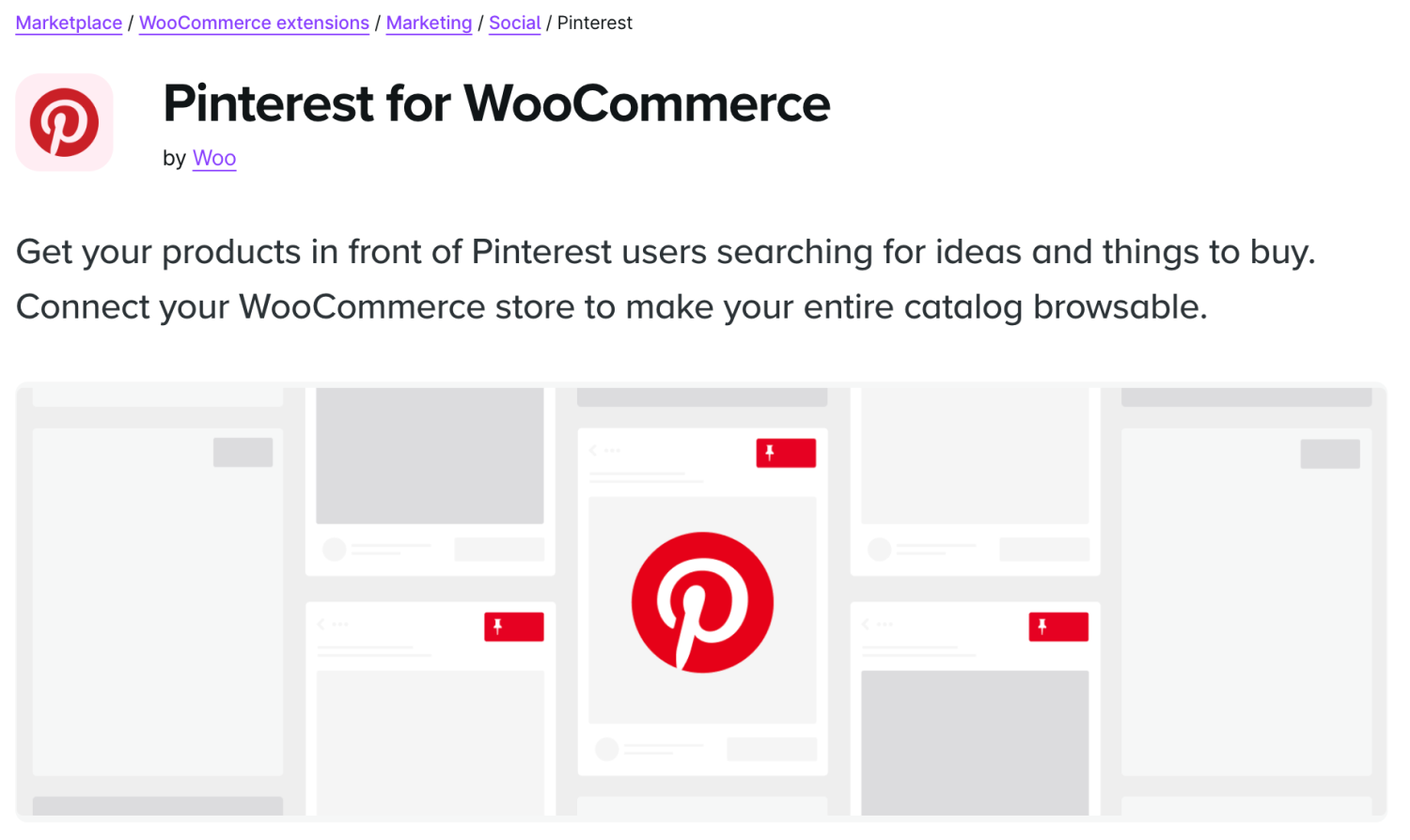 Pintrest and WooCommerce integration product page.