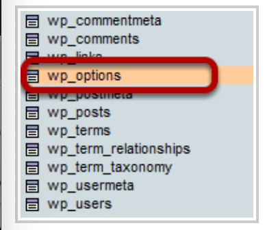 Screenshot of the wp_options table highlighted in phpMyAdmin