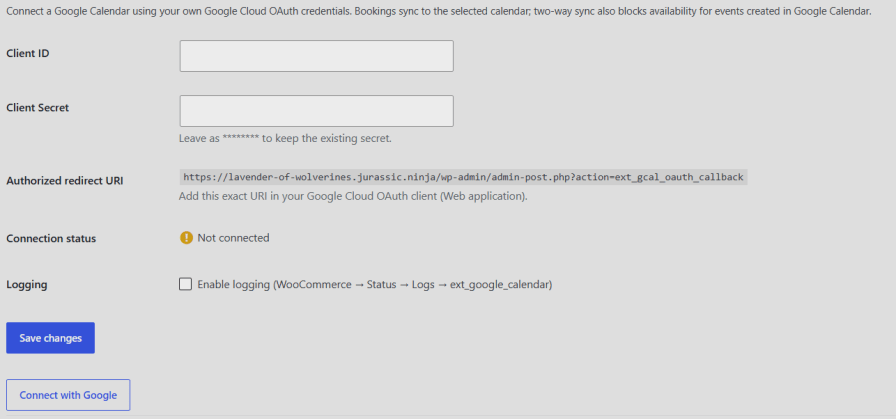 Google Calendar Integration