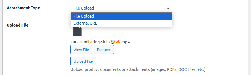 Upload Files or Add External URLs