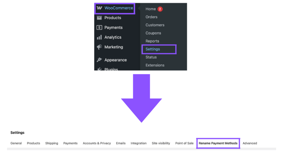 Accessing the Rename Payment Methods plugin's dashboard