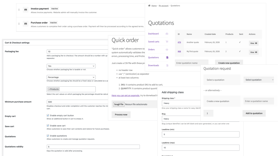 Advanced B2B Checkout & Payment Controls