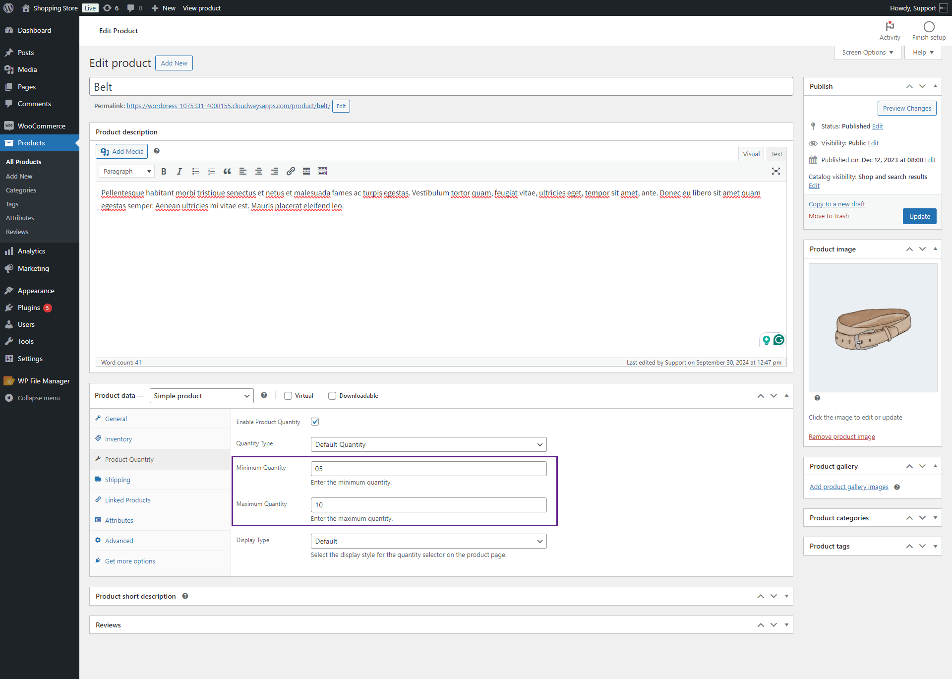 Product Quantity Documentation - WooCommerce