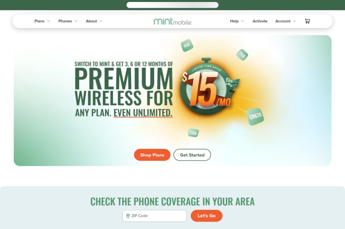 Screenshot of Mint Mobile