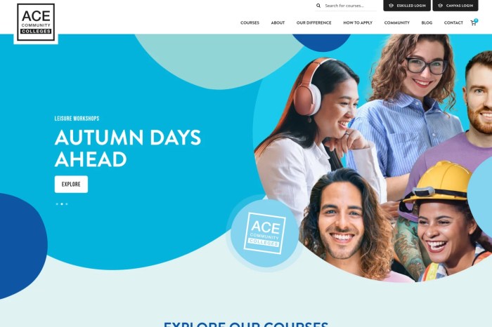 Screenshot of ACE Community Colleges LTD