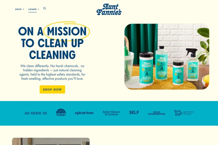 Screenshot of Aunt Fannie’s