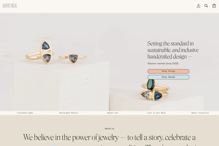 Screenshot of Bario Neal