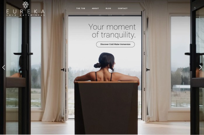 Screenshot of Eureka Cold Plunges